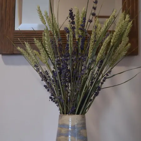 Du Jardin Roy * Haution