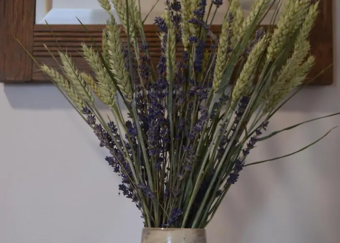 Du Jardin Roy * Haution